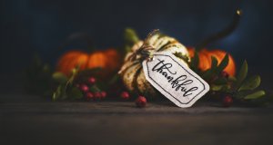 Thanksgiving Cybersecurity