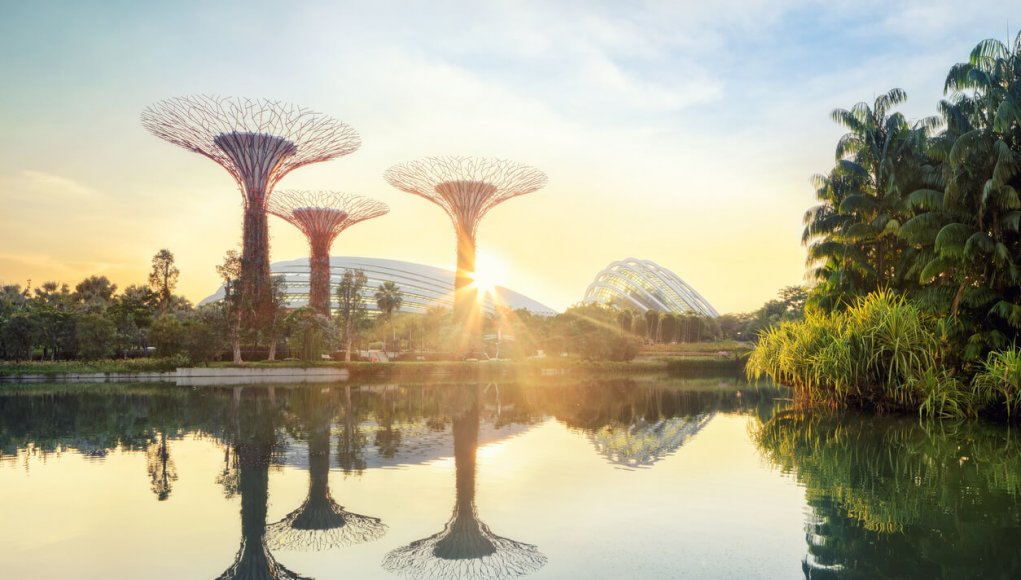 Innovative garden in Singapore