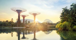 Innovative garden in Singapore