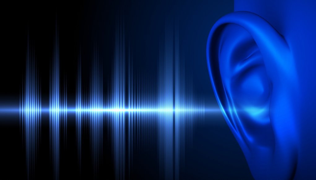 Digital blue soundwave entering a digitized, blue. human's ear