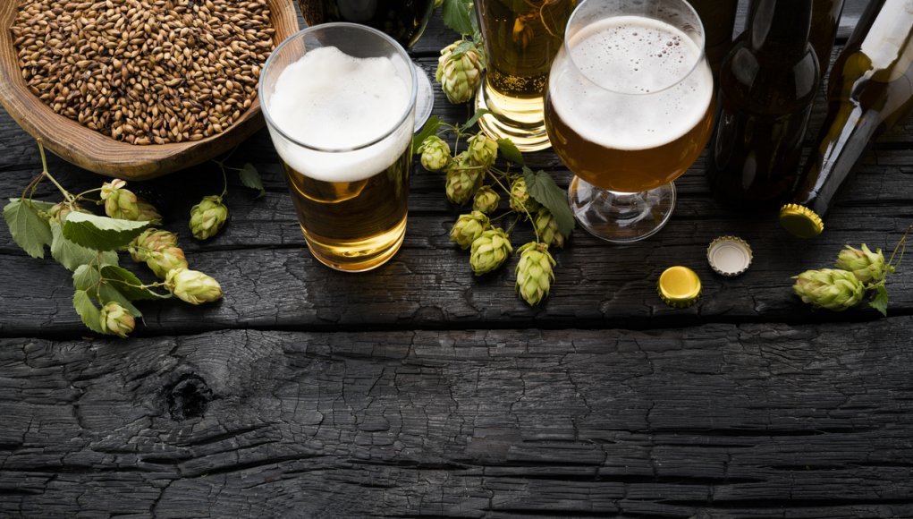 Beer glasses on a table, surrounded by decorative greens and a bowl of something to munch on