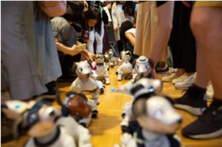 Image of robo dogs with their owners in a Japanese cafe