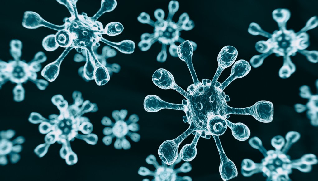 3d image of coronavirus as viewed under a microscope