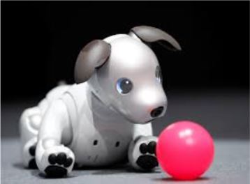 Image of robo pet staring at a pink toy 