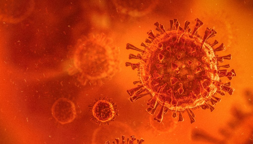 3D illustration of virus / coronavirus / bacteria close-up