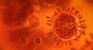 3D illustration of virus / coronavirus / bacteria close-up