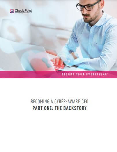 Becoming a cyber aware CEO the backstory