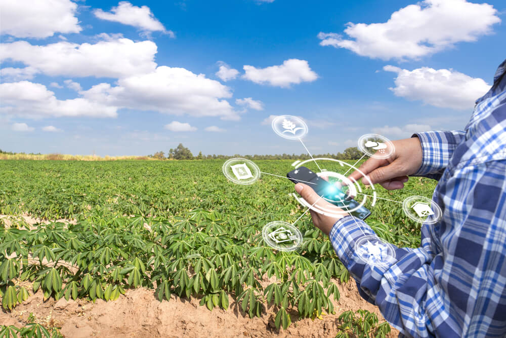 Agriculture and Internet of Things concept