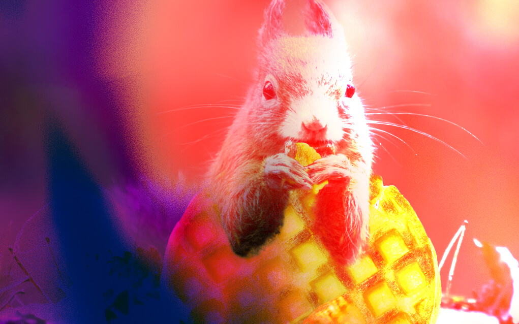 Squirrelwaffle malware, squirrel eating a waffle