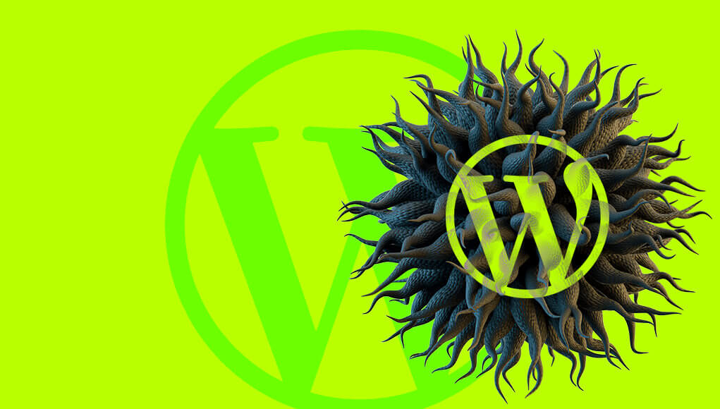 Botnet focuses on WordPress and Spring Framework