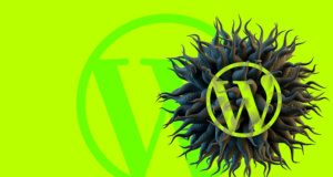 Botnet focuses on WordPress and Spring Framework