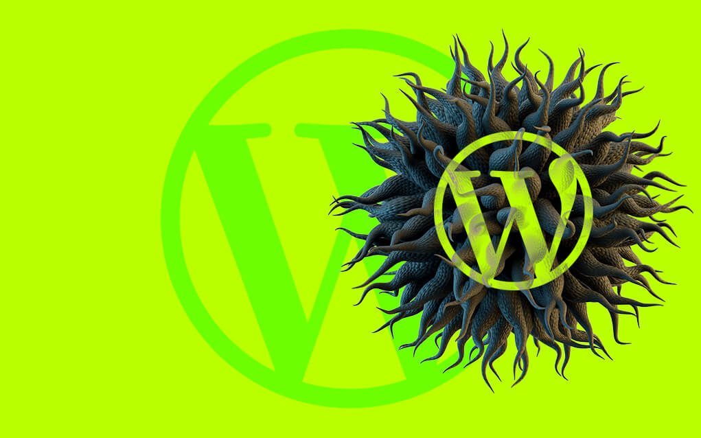 Botnet focuses on WordPress and Spring Framework