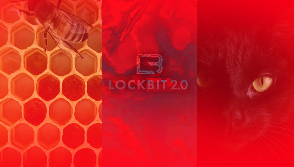 Hive, Lockbit, BlackCat ransomware groups