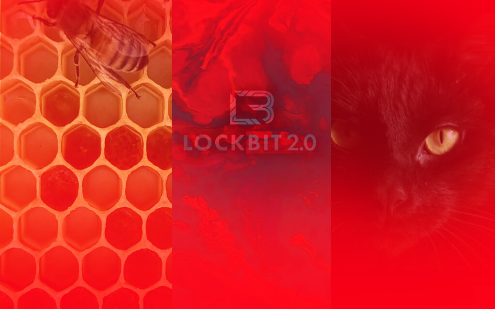 Hive, Lockbit, BlackCat ransomware groups