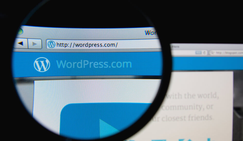 WordPress concept art