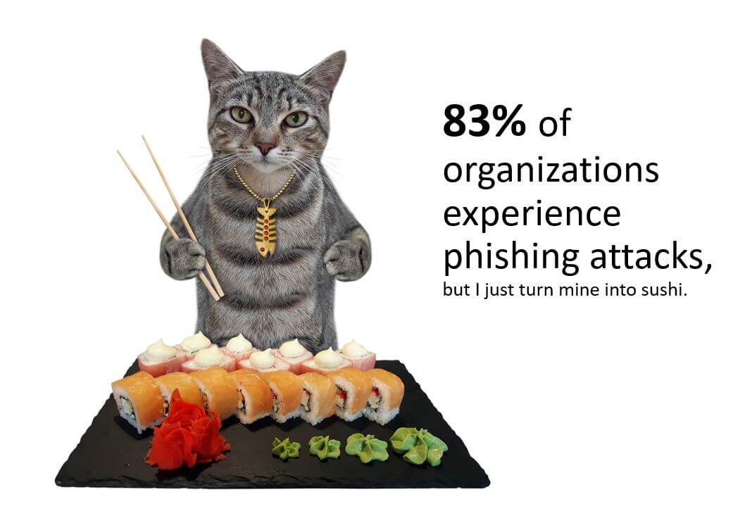 83% of organizations experience phishing attacks