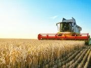 Combine harvester, food and agriculture concept art